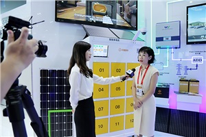 獲新華社重點關注，威勝電氣亮相中非經貿博覽會！